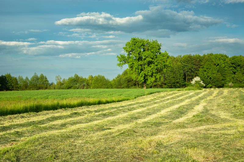 Acreage Mowing Service in Calvert County, MD