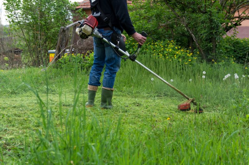 Tall Grass Cutting in Bowie, MD