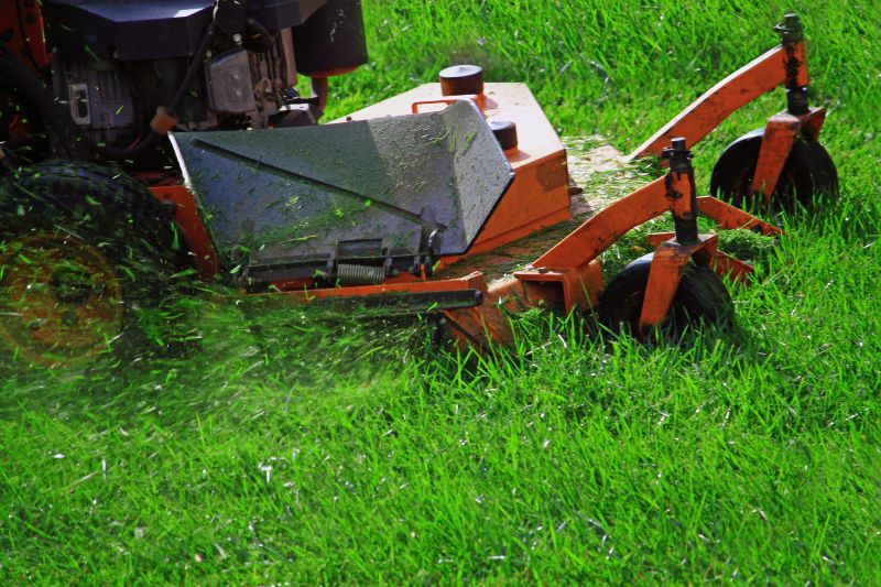 Flail Mowing