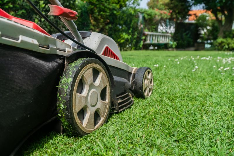 Flail Mowing
