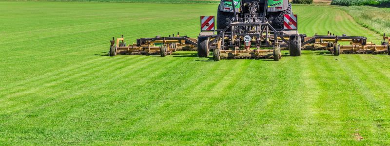 Flail Mowing