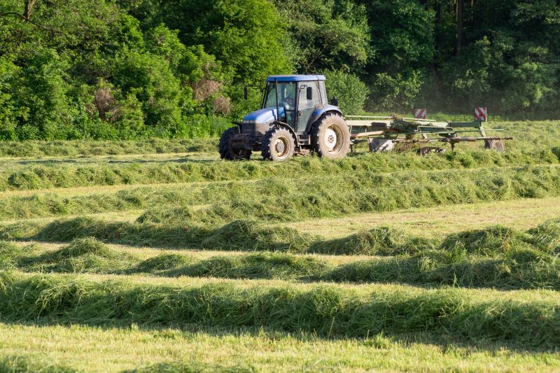 Clearing a Overgrown Field