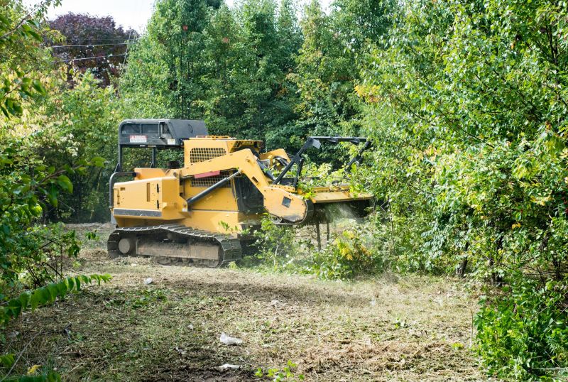 Cost of Flail Mowing — Cost of Flail Mowing