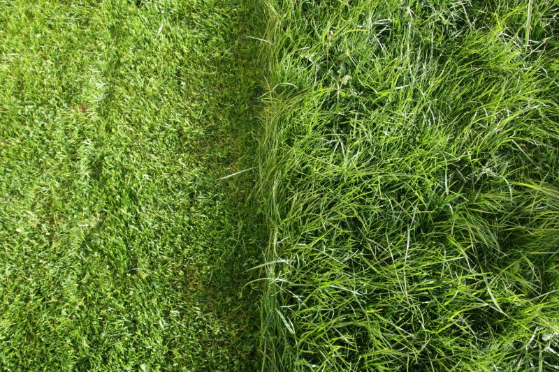Grass Mowing in Bowie, MD