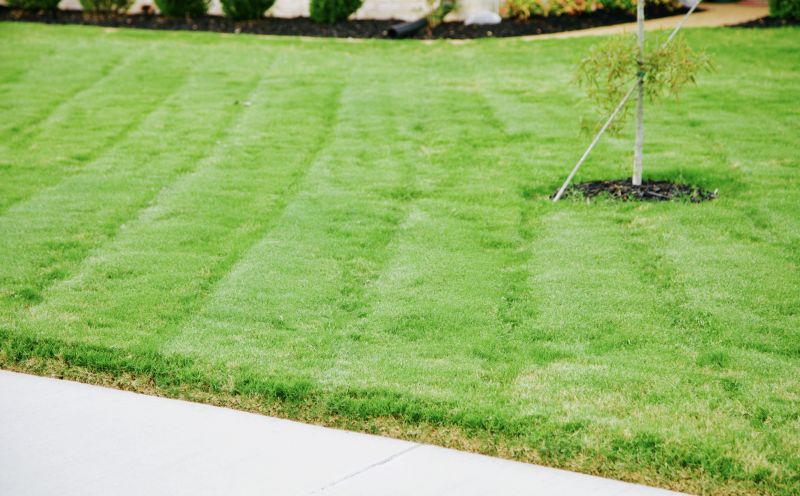 Grass Mowing in Bowie, MD