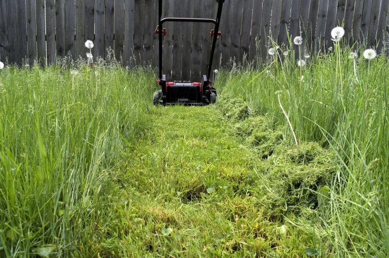 Meadow Mowing in Duluth, MN