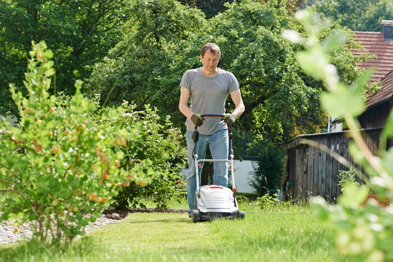 Overgrown Lawn Trimming in Bowie, MD