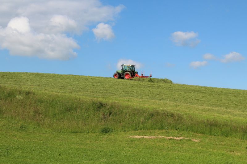 Slope Mowing in Bowie, MD