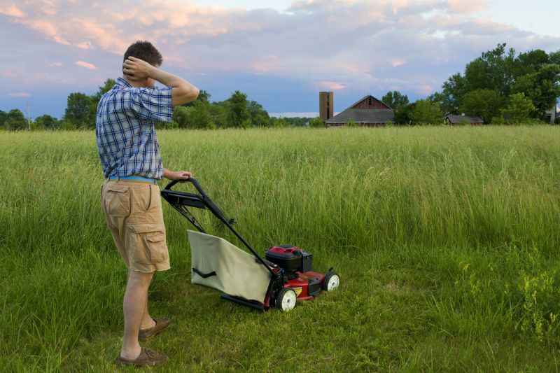 Spring Lawn Maintenance in Bowie, MD