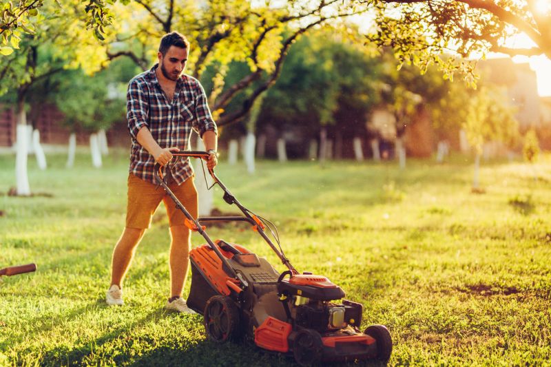 Summer Lawn Care in Bowie, MD