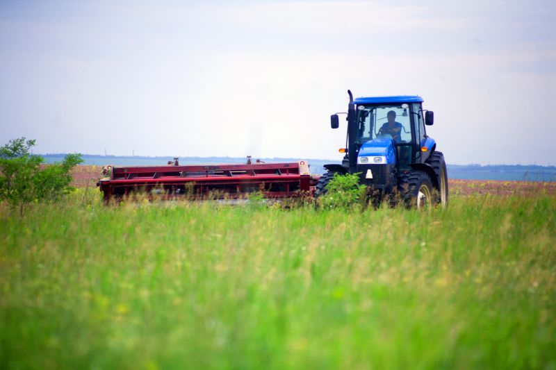 Prevents overgrowth and weeds.